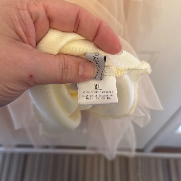 Elegant Cream Layered Tulle Skirt - Picture 7 of 7
